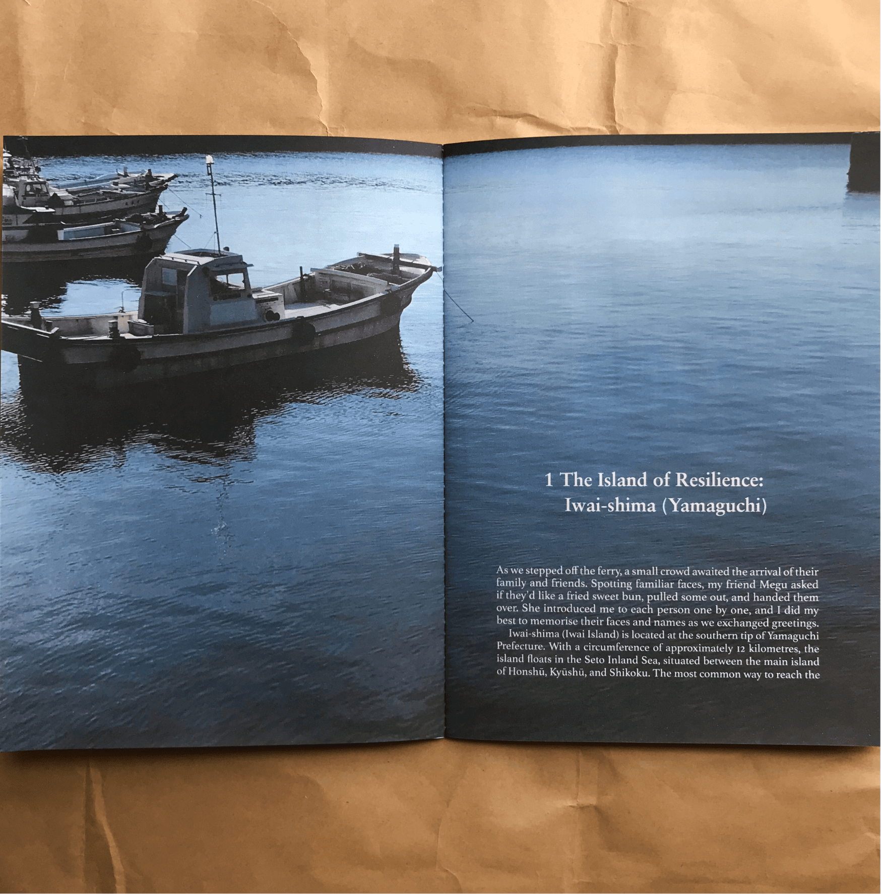 Nicholas Marshall/Michiyo Miyake, The Island of Resilience - Image 3