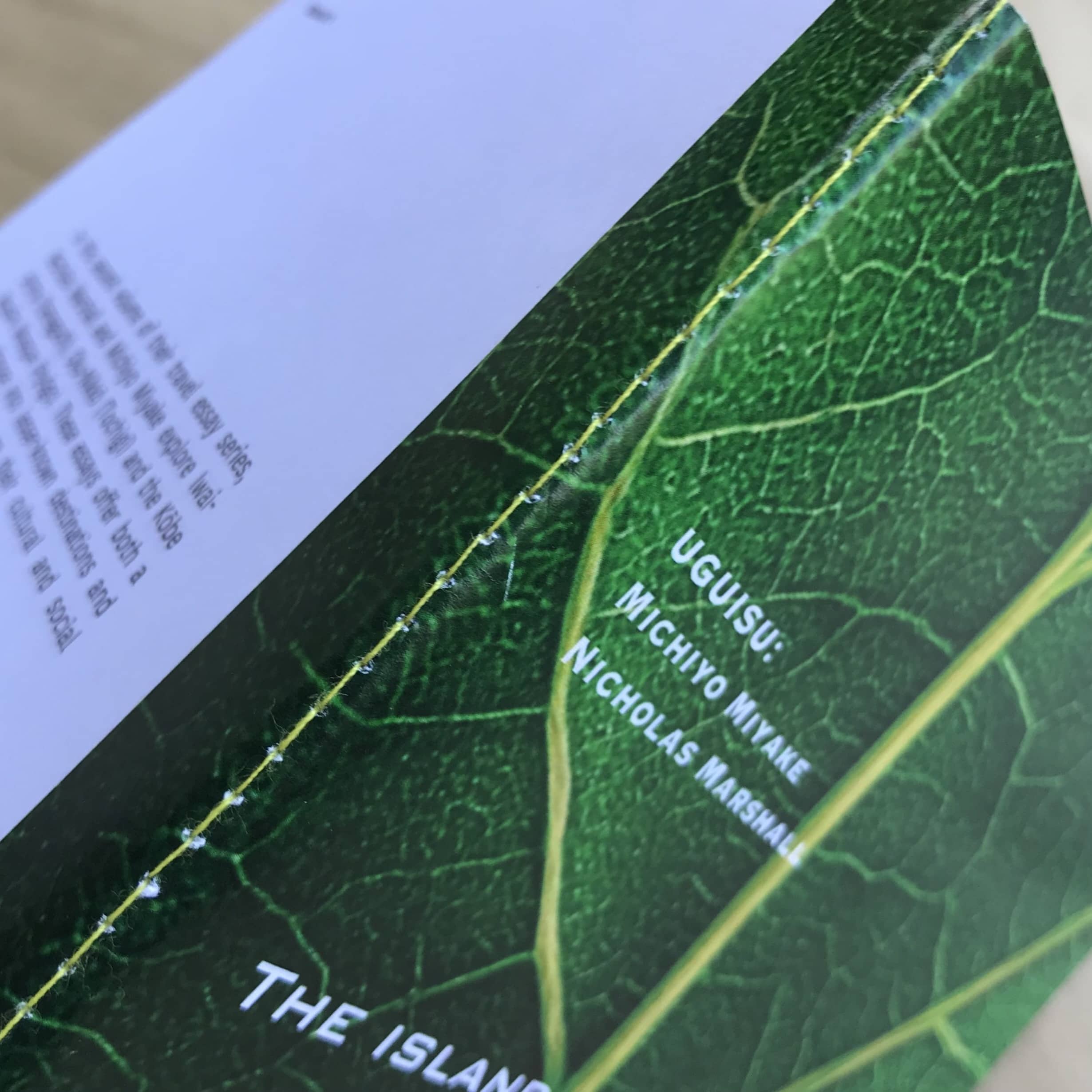 Nicholas Marshall/Michiyo Miyake, The Island of Resilience - Image 7