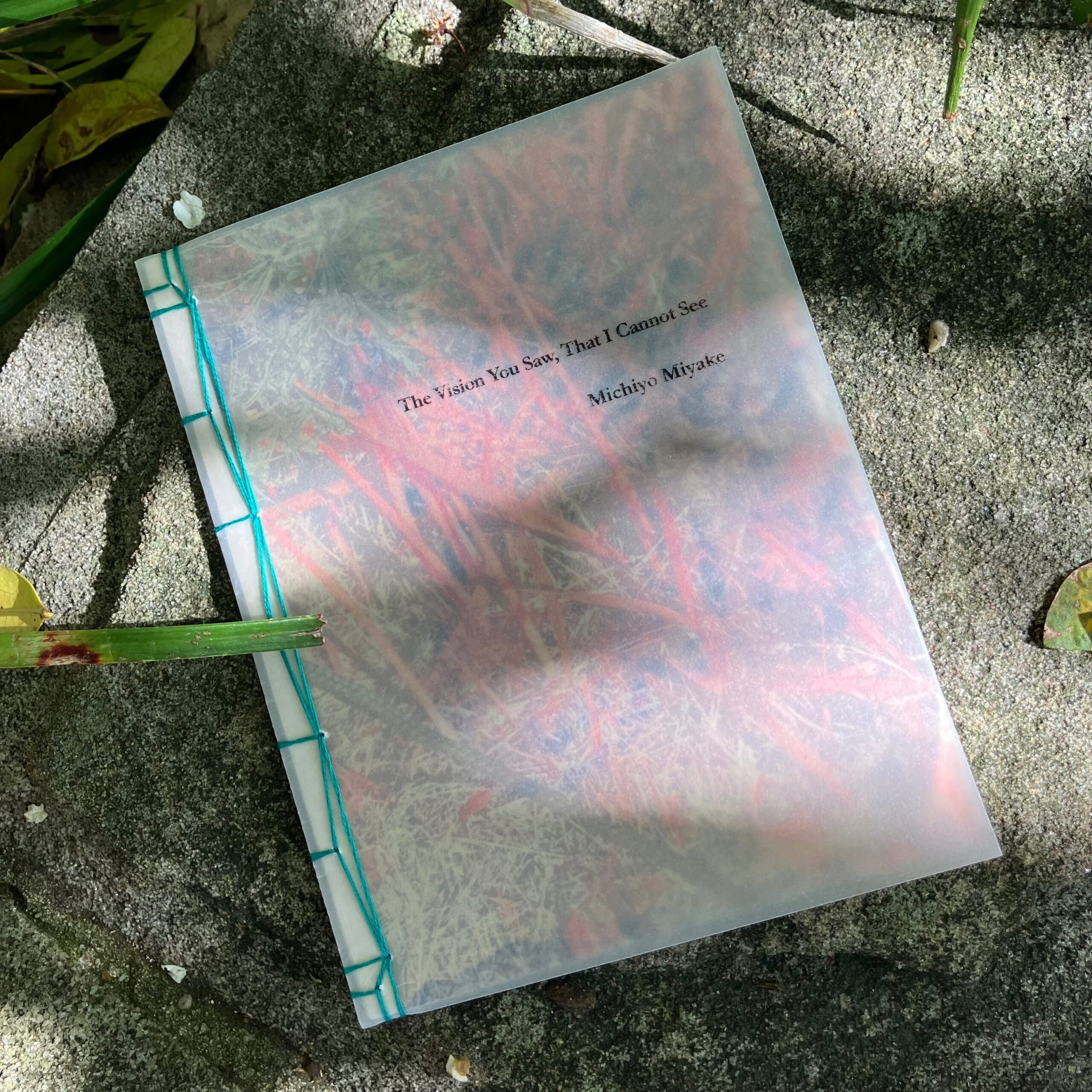 Michiyo Miyake's stab-bound zine, The Vision You Saw, That I Cannot See, placed against a stone background