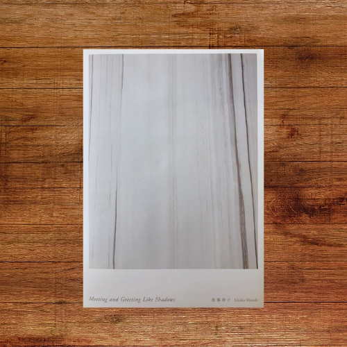 Cover of Utako Shindo's publication, Meeting and Greeting Like Shadows, translated by Uguisu