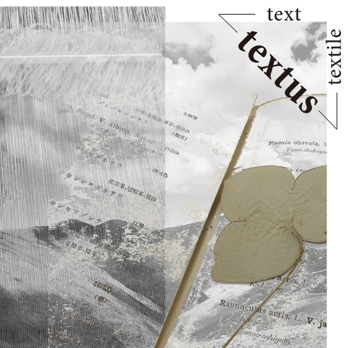 textus logo