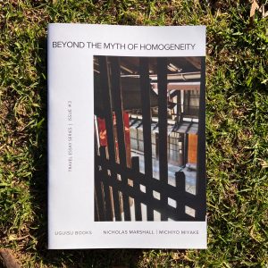 Beyond the Myth of Homogeneity front cover