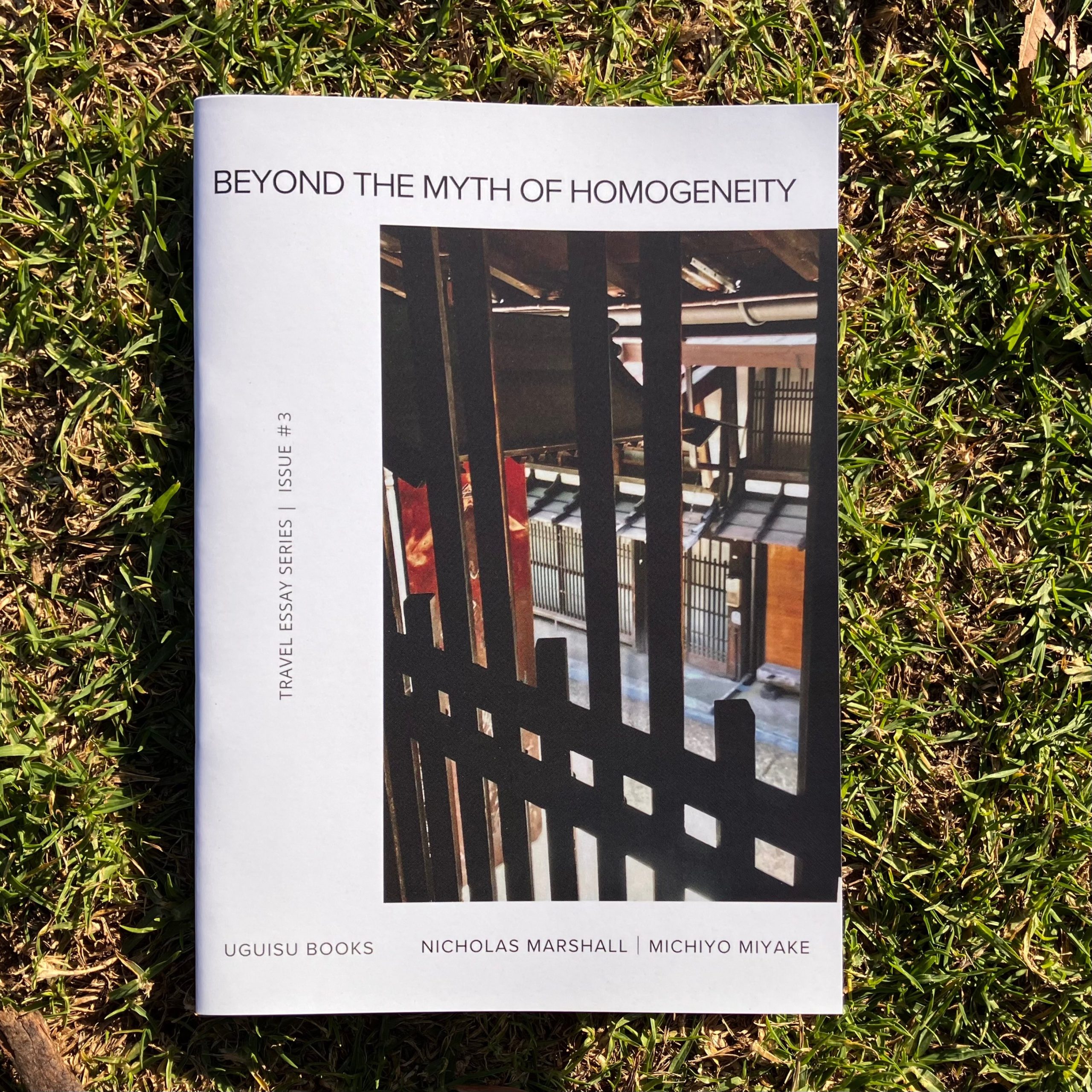 Beyond the Myth of Homogeneity front cover Beyond the Myth of Homogeneity front cover